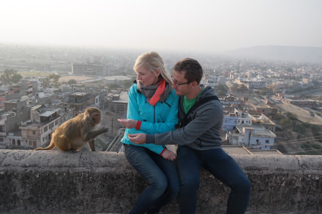Monkey Temple - Jaipur