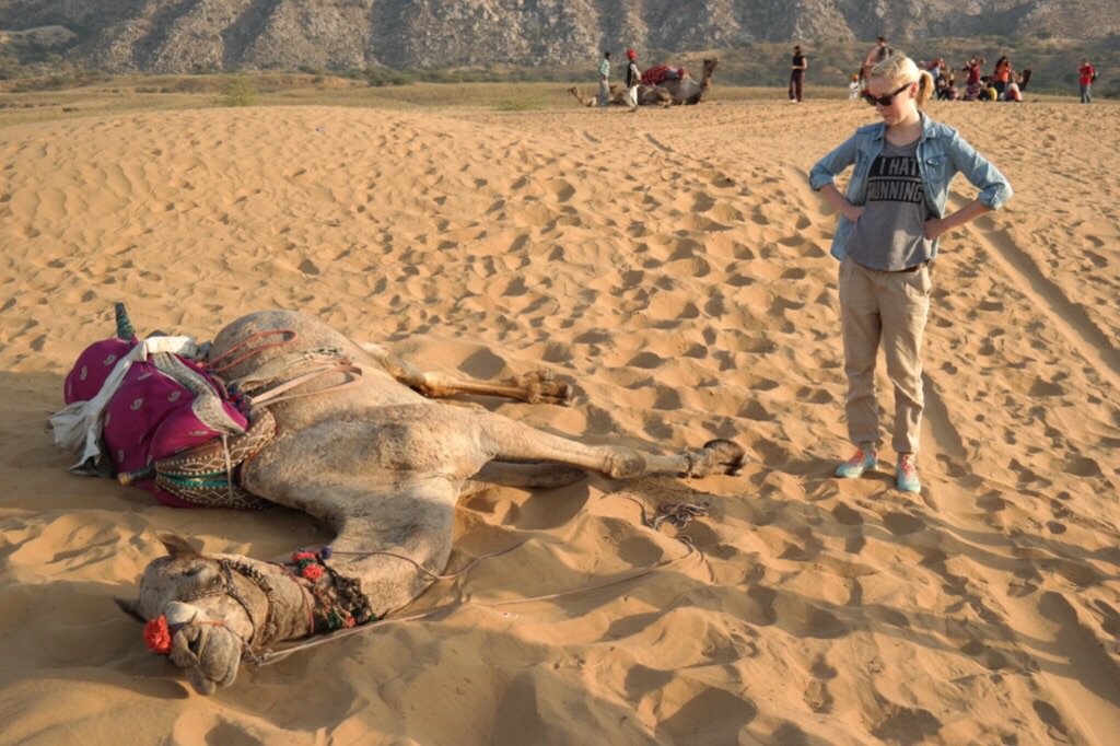 Camel Safari - Pushkar