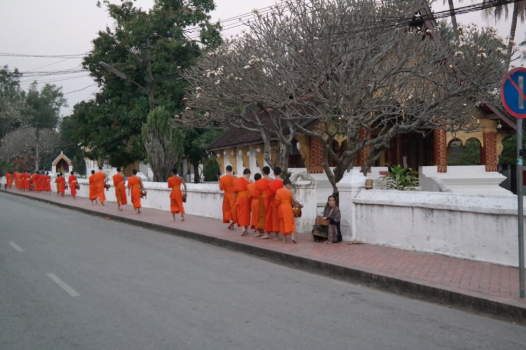 Almosengang der Mönche - Luang Prabang 