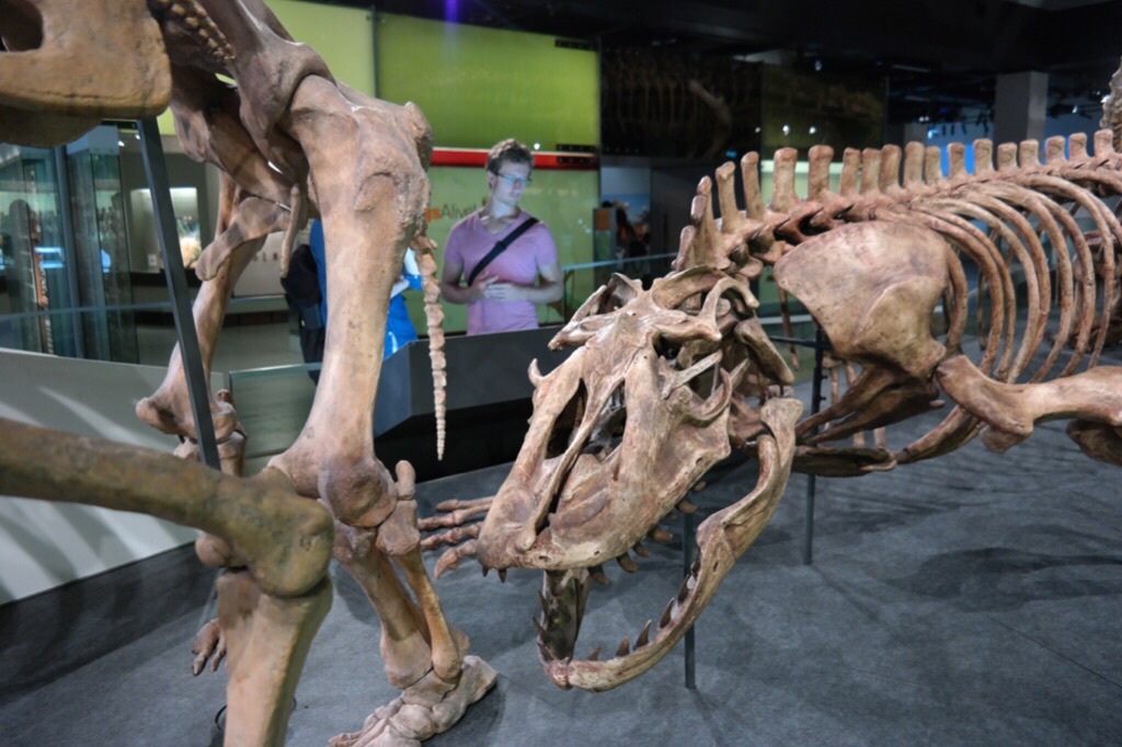 Melbourne Museum - Melbourne 