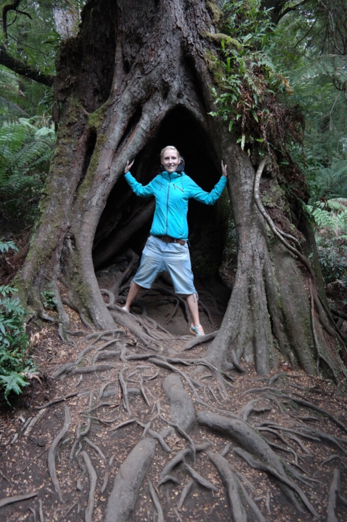 Regenwald - Great Ocean Road
