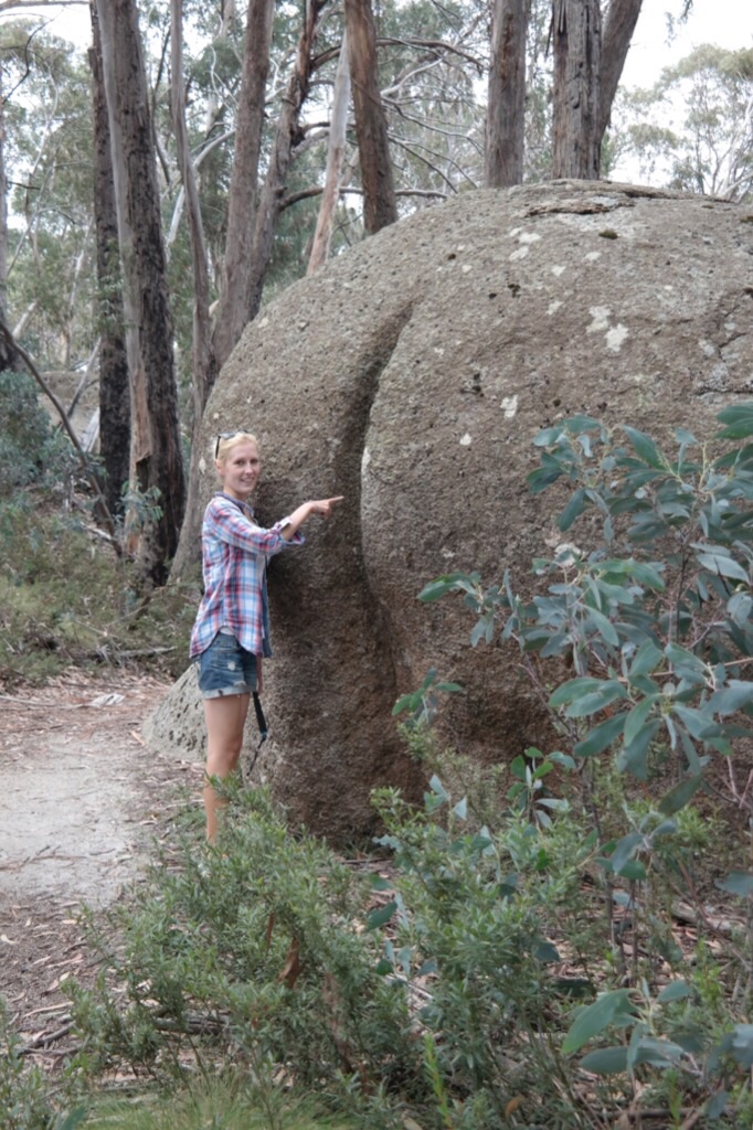 Proktologie?! - Mt. Buffalo