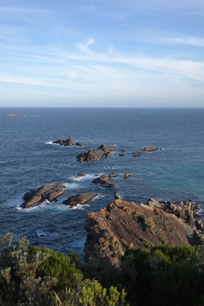 Aussicht - Seal Rocks