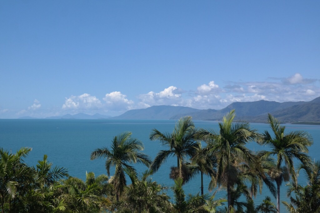 Lookout - Port Douglas