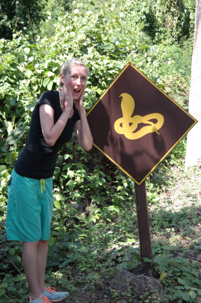 Kobras?! - Erawan National Park